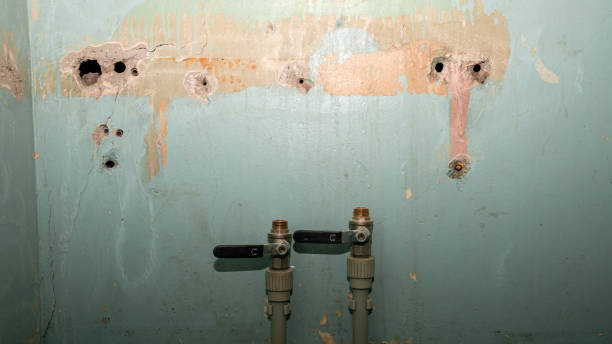 Best 24/7 water damage repair  in Toro Nyon, CA