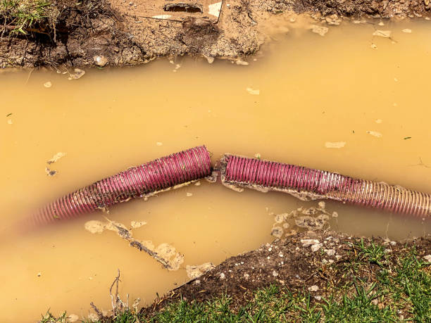 Best Flood restoration services  in Toro Nyon, CA